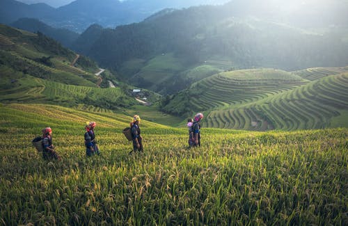 ecovadis社会责任评级解决方案工规范标准