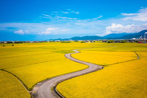 ecovadis对可持续发展企业其他证据要求标准