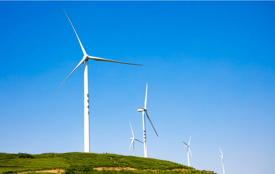 EcoVadis鼓励企业对信息公开透明地进行披露