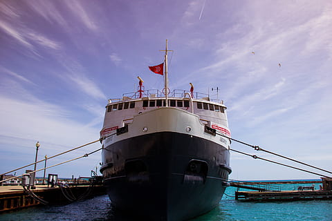 EcoVadis社会责任对企业基准测试洞察力标准