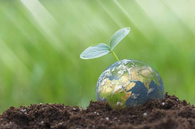Ecovadis适用哪些企业 企业如何使用EcoVadis的评估结果
