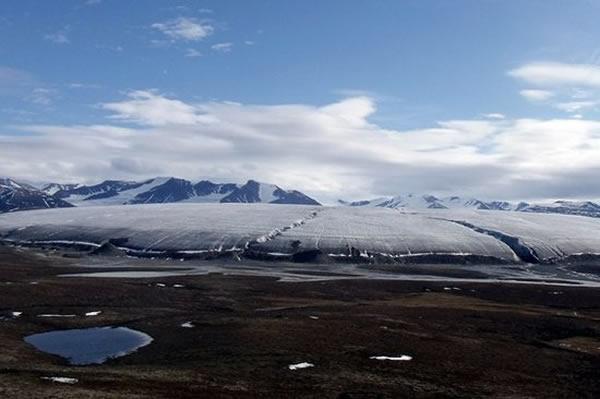EcoVadis认证对企业供应链可持续发展的管理标准